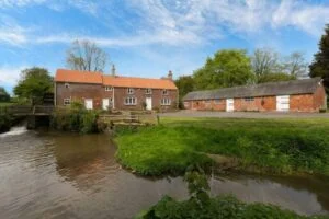 image 17 1024x1024 1 768x512 1 300x200