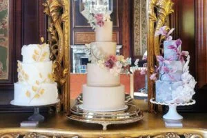 img 20221113 121202 edit 198737303589464 4 164099 167336483330011 300x200