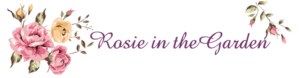 logo 300x78