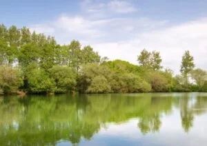 rookley lakes.jpg  764x540 q85 crop subsampling 2 upscale 300x212