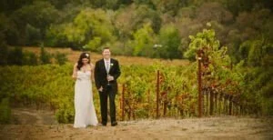 7cea6b ac39eb45cf4644938139015722155a2c mv2 300x154