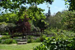 WNS 090621 Bryngarw Country Park 33 300x200