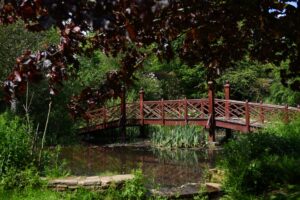 WNS 090621 Bryngarw Country Park 39 300x200