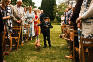 Rosa Tom 121 1 300x200