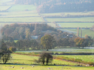 distance shot 1 300x225