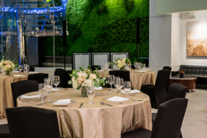 ny halston1 1 300x200