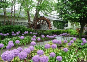 ny watermill 1 300x214