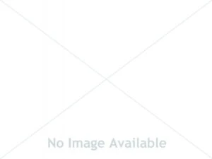 molly fisher 300x225