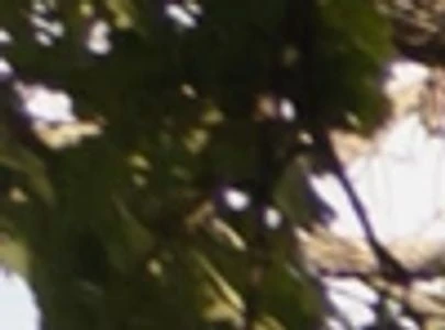 F0C36245 39F6 423B B2FF 2FDE4AB269AB